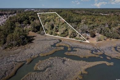 Rare opportunity to own this huge, undeveloped, 3.3-acre on Beachwood Golf Club in South Carolina - for sale on GolfHomes.com, golf home, golf lot