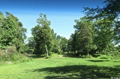 Rare opportunity to own this huge, undeveloped, 3.3-acre on Beachwood Golf Club in South Carolina - for sale on GolfHomes.com, golf home, golf lot