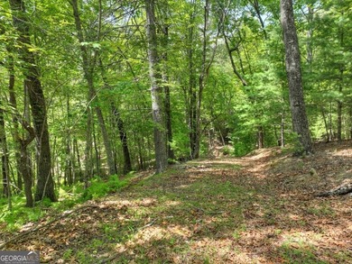 Build your dream home on this beautiful 2.21-acre lot in an on Old Toccoa Farm Golf Club in Georgia - for sale on GolfHomes.com, golf home, golf lot