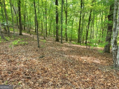 Build your dream home on this beautiful 2.21-acre lot in an on Old Toccoa Farm Golf Club in Georgia - for sale on GolfHomes.com, golf home, golf lot