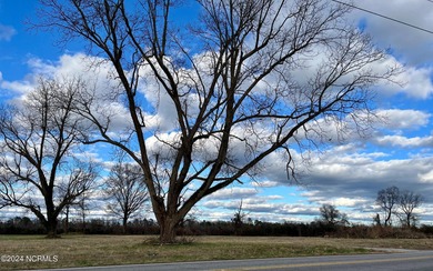 BEAUTIFUL 50+- acre tract of land in North Whiteville with road on Land-O-Lakes Golf Course in North Carolina - for sale on GolfHomes.com, golf home, golf lot