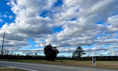 BEAUTIFUL 50+- acre tract of land in North Whiteville with road on Land-O-Lakes Golf Course in North Carolina - for sale on GolfHomes.com, golf home, golf lot