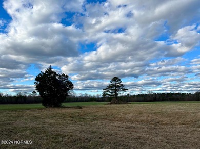 BEAUTIFUL 50+- acre tract of land in North Whiteville with road on Land-O-Lakes Golf Course in North Carolina - for sale on GolfHomes.com, golf home, golf lot
