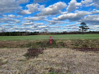 BEAUTIFUL 50+- acre tract of land in North Whiteville with road on Land-O-Lakes Golf Course in North Carolina - for sale on GolfHomes.com, golf home, golf lot