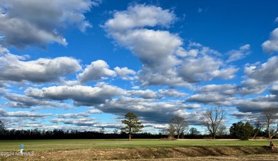 BEAUTIFUL 50+- acre tract of land in North Whiteville with road on Land-O-Lakes Golf Course in North Carolina - for sale on GolfHomes.com, golf home, golf lot
