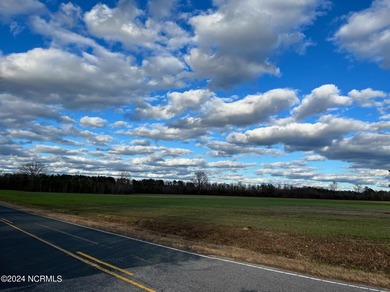 BEAUTIFUL 50+- acre tract of land in North Whiteville with road on Land-O-Lakes Golf Course in North Carolina - for sale on GolfHomes.com, golf home, golf lot