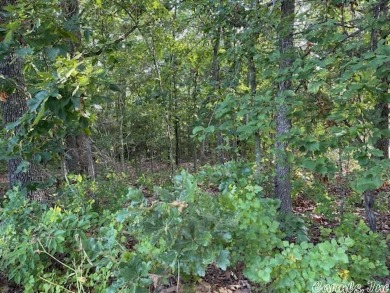 These Ozarks lots are located on #7 fairway on beautiful Turkey on The Course At Turkey Mountain in Arkansas - for sale on GolfHomes.com, golf home, golf lot