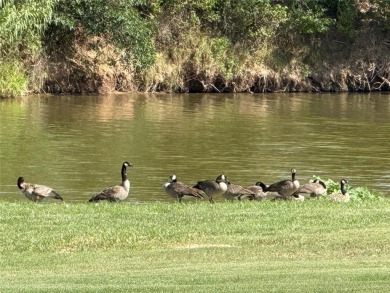 2 Lots included in this property, just across from the Brazos on Horseshoe Bend Country Club in Texas - for sale on GolfHomes.com, golf home, golf lot