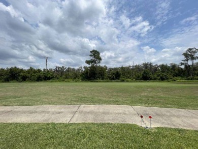 This three-bed, two-bath beauty is spacious and clean with on Four Lakes Golf Club in Florida - for sale on GolfHomes.com, golf home, golf lot