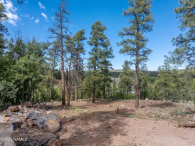 Perched above it all in Munds Park! Build your dream retreat on on  in Arizona - for sale on GolfHomes.com, golf home, golf lot