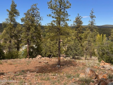 Perched above it all in Munds Park! Build your dream retreat on on  in Arizona - for sale on GolfHomes.com, golf home, golf lot