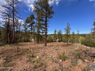 Perched above it all in Munds Park! Build your dream retreat on on  in Arizona - for sale on GolfHomes.com, golf home, golf lot