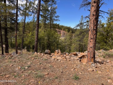 Perched above it all in Munds Park! Build your dream retreat on on  in Arizona - for sale on GolfHomes.com, golf home, golf lot