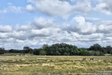 Stunning Golf Course Retreat!  Welcome to your dream home on Flying L Guest Ranch in Texas - for sale on GolfHomes.com, golf home, golf lot