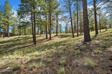 Please see the attached documents showing the topo survey on Pine Canyon Golf Course in Arizona - for sale on GolfHomes.com, golf home, golf lot