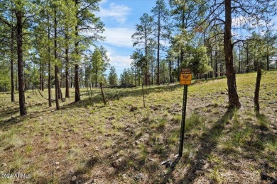 Please see the attached documents showing the topo survey on Pine Canyon Golf Course in Arizona - for sale on GolfHomes.com, golf home, golf lot