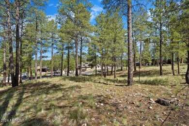 Please see the attached documents showing the topo survey on Pine Canyon Golf Course in Arizona - for sale on GolfHomes.com, golf home, golf lot