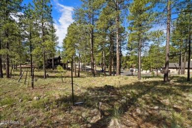 Please see the attached documents showing the topo survey on Pine Canyon Golf Course in Arizona - for sale on GolfHomes.com, golf home, golf lot