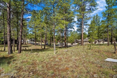 Please see the attached documents showing the topo survey on Pine Canyon Golf Course in Arizona - for sale on GolfHomes.com, golf home, golf lot