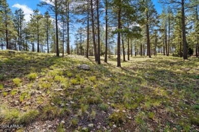 Please see the attached documents showing the topo survey on Pine Canyon Golf Course in Arizona - for sale on GolfHomes.com, golf home, golf lot