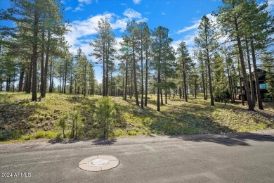 Please see the attached documents showing the topo survey on Pine Canyon Golf Course in Arizona - for sale on GolfHomes.com, golf home, golf lot