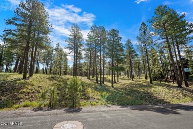 Please see the attached documents showing the topo survey on Pine Canyon Golf Course in Arizona - for sale on GolfHomes.com, golf home, golf lot