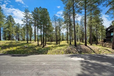 Please see the attached documents showing the topo survey on Pine Canyon Golf Course in Arizona - for sale on GolfHomes.com, golf home, golf lot