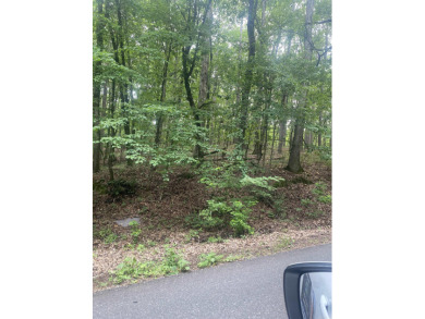 This is the perfect lot to build your dream home.  Generous on Magellan Golf Course in Arkansas - for sale on GolfHomes.com, golf home, golf lot