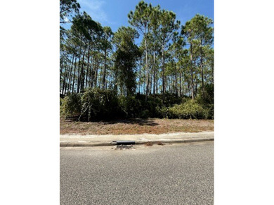 This high and dry lot overlooks a pond and the 12th green on St. James Bay in Florida - for sale on GolfHomes.com, golf home, golf lot