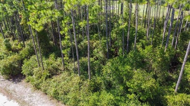 This high and dry lot overlooks a pond and the 12th green on St. James Bay in Florida - for sale on GolfHomes.com, golf home, golf lot
