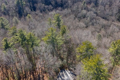 Wake up to the soothing sounds of the Horsepasture River from on Sapphire National Golf Club in North Carolina - for sale on GolfHomes.com, golf home, golf lot