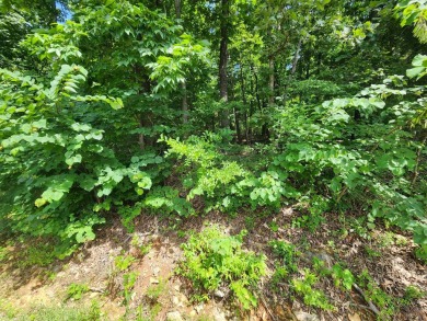 Lake Thunderbird, LAKE-VIEW LOT..e see the view from the point on Cherokee Village North Course in Arkansas - for sale on GolfHomes.com, golf home, golf lot