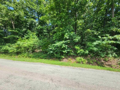 Lake Thunderbird, LAKE-VIEW LOT..e see the view from the point on Cherokee Village North Course in Arkansas - for sale on GolfHomes.com, golf home, golf lot
