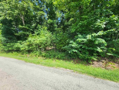 Lake Thunderbird, LAKE-VIEW LOT..e see the view from the point on Cherokee Village North Course in Arkansas - for sale on GolfHomes.com, golf home, golf lot