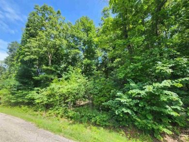Lake Thunderbird, LAKE-VIEW LOT..e see the view from the point on Cherokee Village North Course in Arkansas - for sale on GolfHomes.com, golf home, golf lot