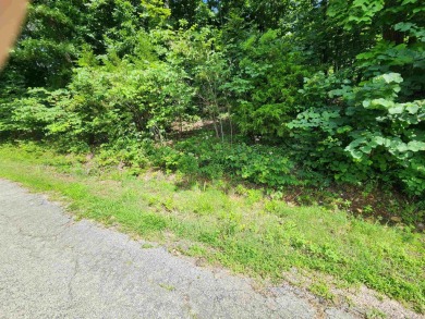 Lake Thunderbird, LAKE-VIEW LOT..e see the view from the point on Cherokee Village North Course in Arkansas - for sale on GolfHomes.com, golf home, golf lot