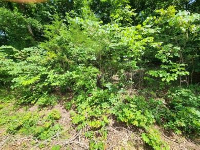 Lake Thunderbird, LAKE-VIEW LOT..e see the view from the point on Cherokee Village North Course in Arkansas - for sale on GolfHomes.com, golf home, golf lot