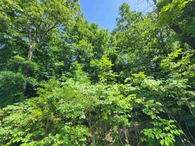 Lake Thunderbird, LAKE-VIEW LOT..e see the view from the point on Cherokee Village North Course in Arkansas - for sale on GolfHomes.com, golf home, golf lot