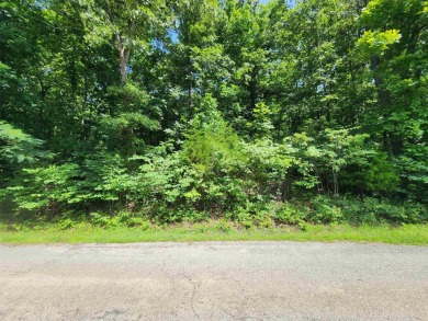 Lake Thunderbird, LAKE-VIEW LOT..e see the view from the point on Cherokee Village North Course in Arkansas - for sale on GolfHomes.com, golf home, golf lot