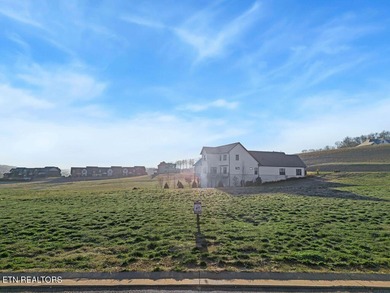 This prestigious area of Tennessee National is filling up fast! on Tennessee National Golf Club in Tennessee - for sale on GolfHomes.com, golf home, golf lot