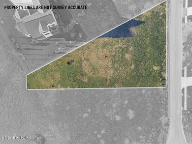 This prestigious area of Tennessee National is filling up fast! on Tennessee National Golf Club in Tennessee - for sale on GolfHomes.com, golf home, golf lot