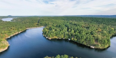 Lake Pineda WATERFRONT! Build your dream home on this affordable on Coronado Golf Course in Arkansas - for sale on GolfHomes.com, golf home, golf lot