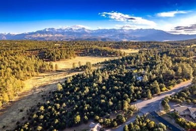Tammy Monroe, Keller Williams Realty Southwest Associates, LLC - on The Divide Ranch and Club in Colorado - for sale on GolfHomes.com, golf home, golf lot