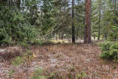 Build your dream home right next to the golf course!~ Chewelah on Chewelah Golf and Country Club  in Washington - for sale on GolfHomes.com, golf home, golf lot