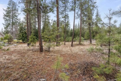 Build your dream home right next to the golf course!~ Chewelah on Chewelah Golf and Country Club  in Washington - for sale on GolfHomes.com, golf home, golf lot