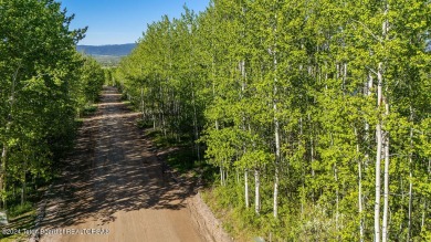 Beautiful tree covered lot in Star Valley Ranch.  This lot is on Aspen Hills Golf Course in Wyoming - for sale on GolfHomes.com, golf home, golf lot