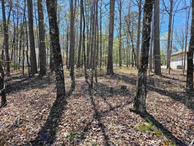 East End golf course lot located on the 1st hole of Ponce Golf on Ponce De Leon Golf Course in Arkansas - for sale on GolfHomes.com, golf home, golf lot