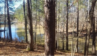 This is a very large lot in Savannah Point. The subdivision has on Monticello Golf Club At Savannah Lakes in South Carolina - for sale on GolfHomes.com, golf home, golf lot