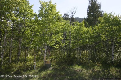 Great wooded lot. Located on a lightly traveled road and close on Aspen Hills Golf Course in Wyoming - for sale on GolfHomes.com, golf home, golf lot