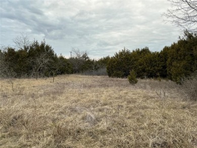 This lot won't last long. Everyone is looking for 1 AC or more on White Bluff Resort - New Course in Texas - for sale on GolfHomes.com, golf home, golf lot